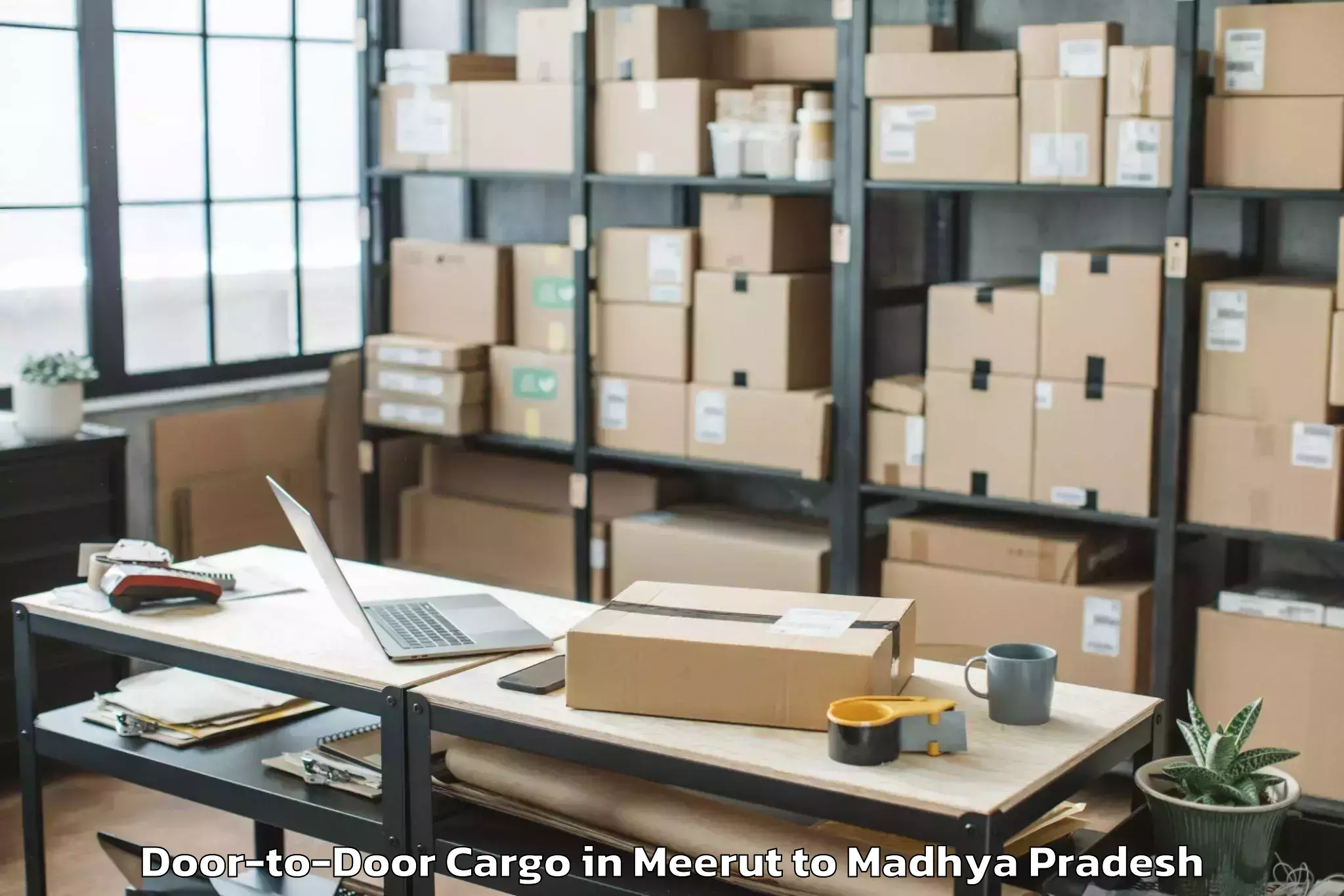 Reliable Meerut to Barwani Door To Door Cargo